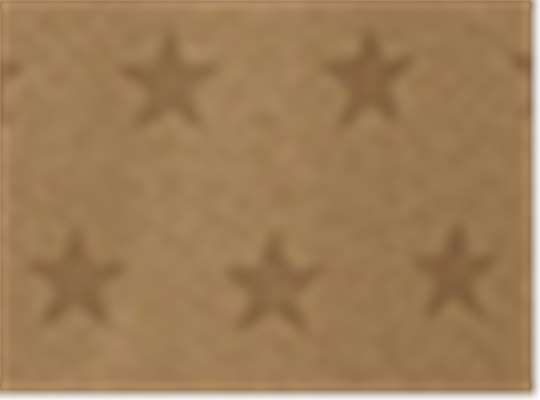 Swatch for Coyote Brown Star