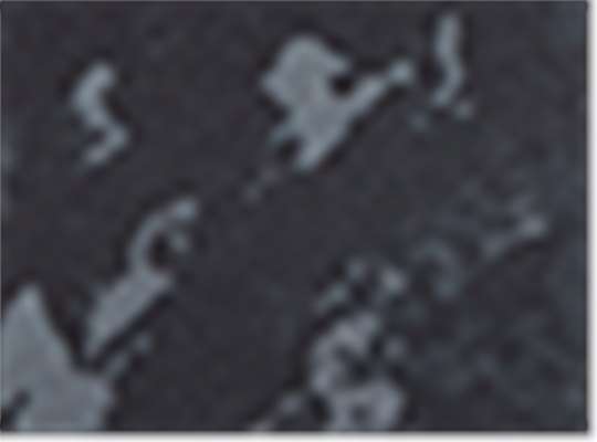 Swatch for Poseidon Black