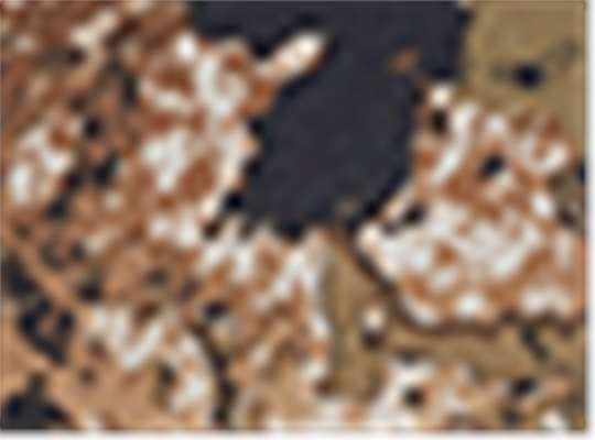 Swatch for Veil Wideland