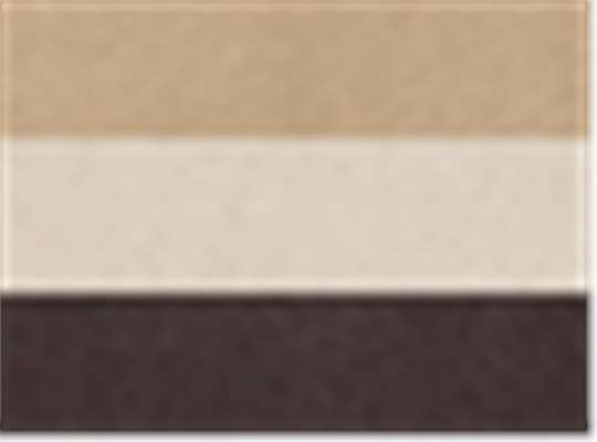 Swatch for Chocolate/ Natural/ Khaki