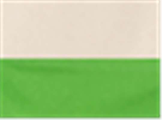 Swatch for Natural/ Lime