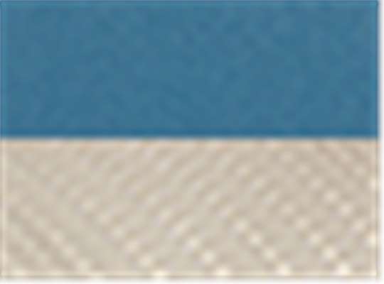 Swatch for Steel Blue/ Silver