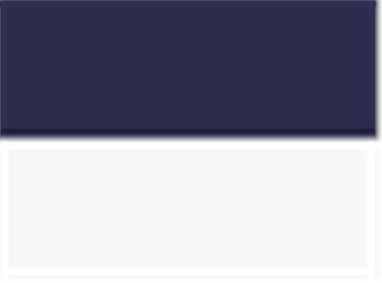 Swatch for Midnight Navy/ White