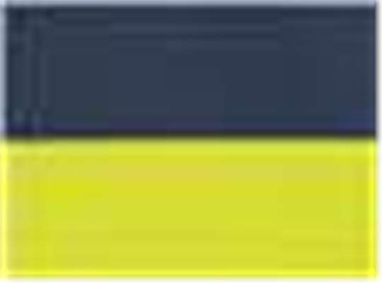 Swatch for Navy/ Yellow Trim - 30I
