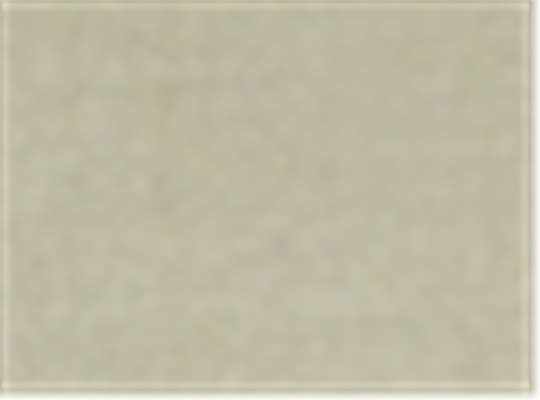 Swatch for Safari Oxford
