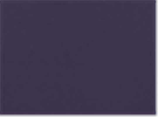 Swatch for Eclipse/ White