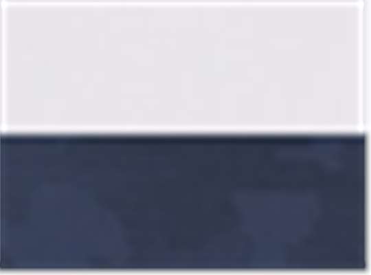 Swatch for Bright White/ Navy Blazer