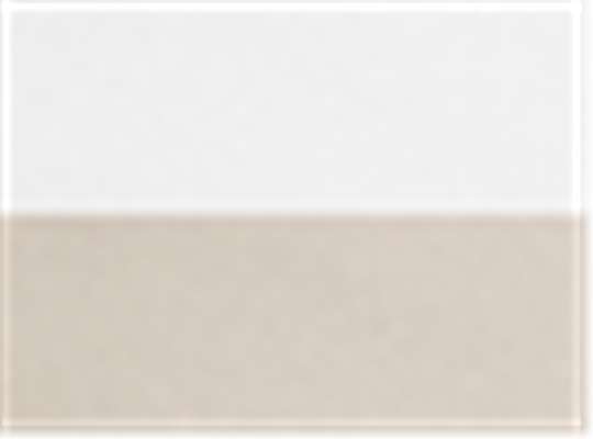 Swatch for White/ Tan