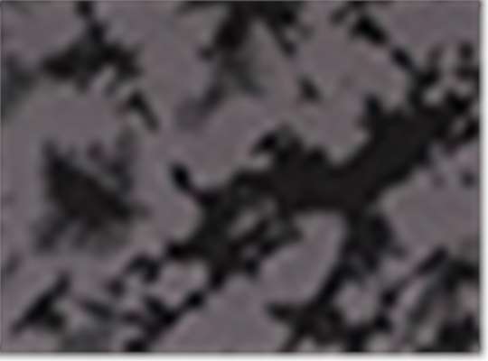 Swatch for Iced Grey