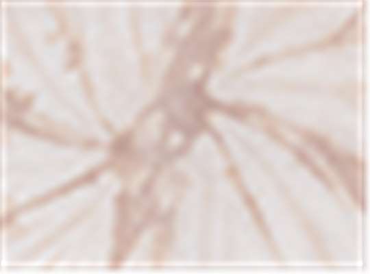 Swatch for Spider Taupe