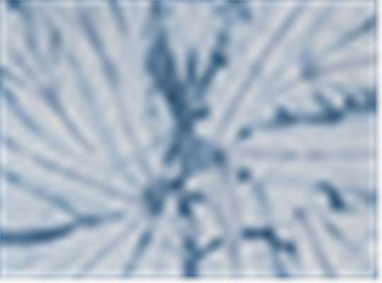 Swatch for Spider Denim