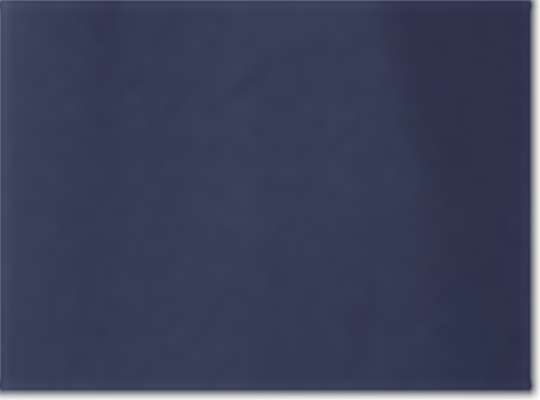 Swatch for Midnight Navy/ Midnight Navy