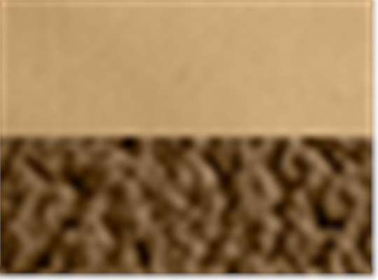 Swatch for Camel/ Coyote