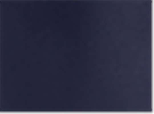 Swatch for Midnight Navy/ Metallic Silver