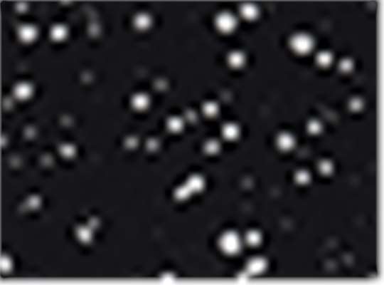 Swatch for Starry Night