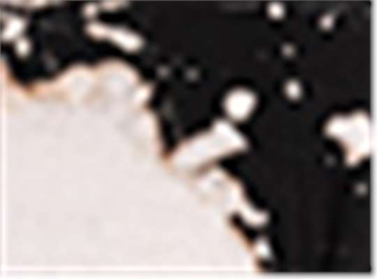 Swatch for Photo
