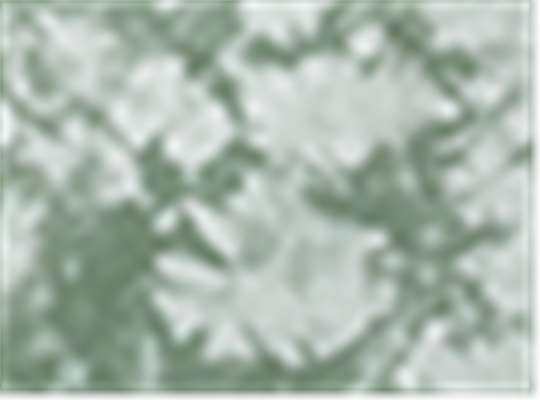 Swatch for Crystal Forest