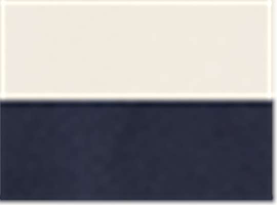 Swatch for Vintage White/ Navy
