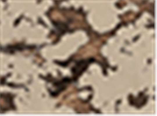 Swatch for Iced Beige