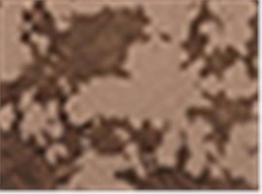 Swatch for Iced Brown