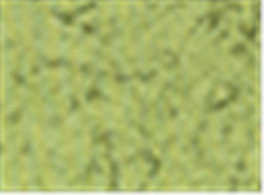Swatch for Turtle