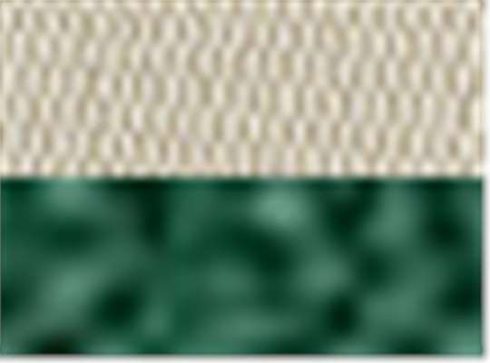 Swatch for Natural/ Kelly