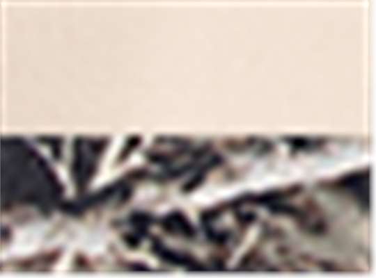 Swatch for Natural/ Realtree All Purpose