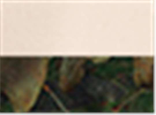 Swatch for Natural/ Mossy Oak Breakup