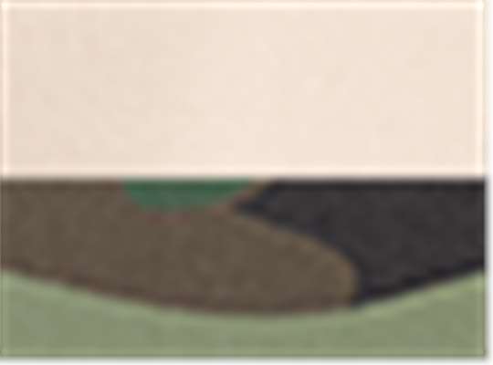 Swatch for Natural/ Camo Green