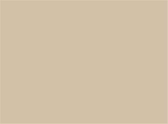 Swatch for Faded Bone
