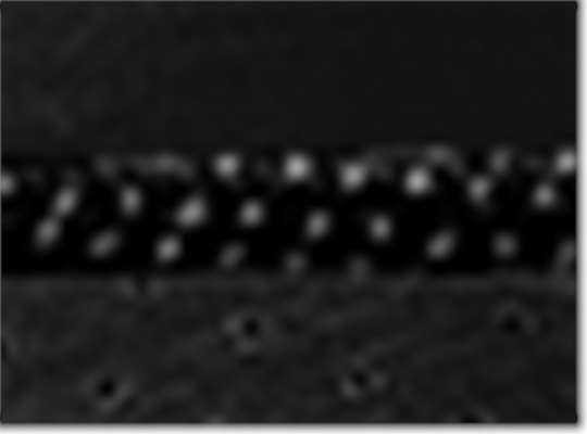 Swatch for Black/ Black-Grey
