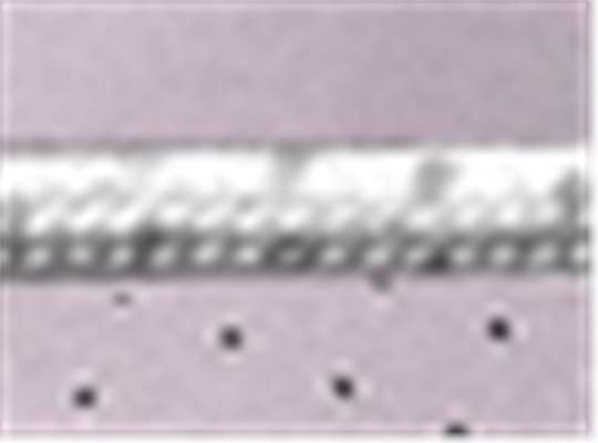 Swatch for Lilac/ White-Grey